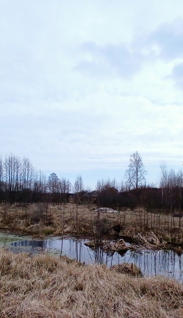 Продаєтся ділянка під лісом, біля води у с.Свiдiвок