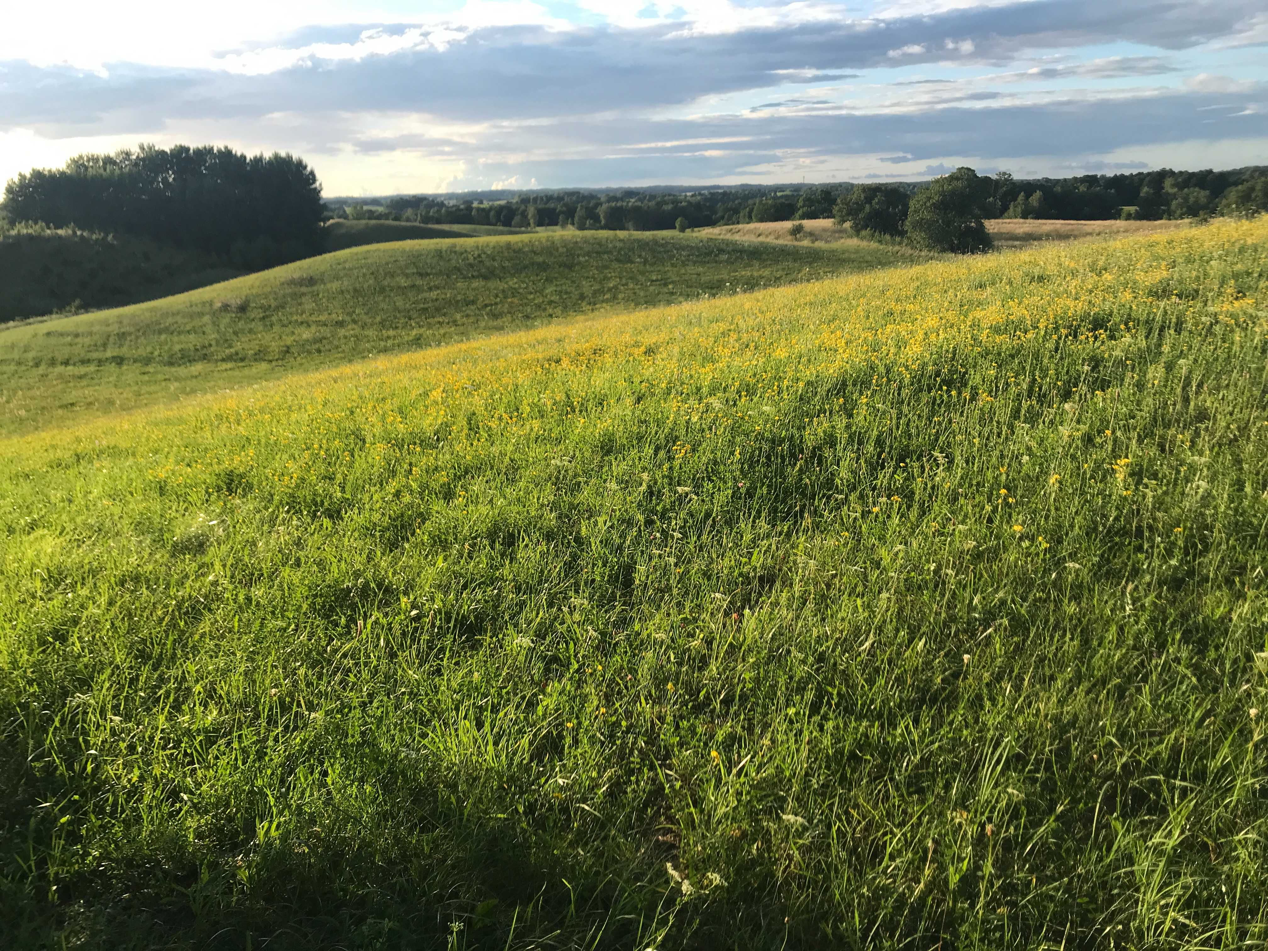 działka 550m od jeziora Inulec, 6min od Mikołajek (w ratach 1425zl/mc)