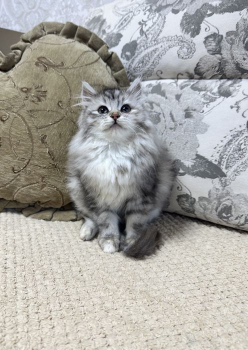 Класнючий клубочек тут)