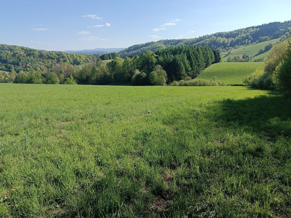 Działka rekreacyjna - Wujskie k. Sanoka, widok na Bieszczady