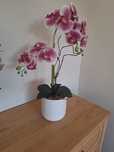Vaso com orquídeas