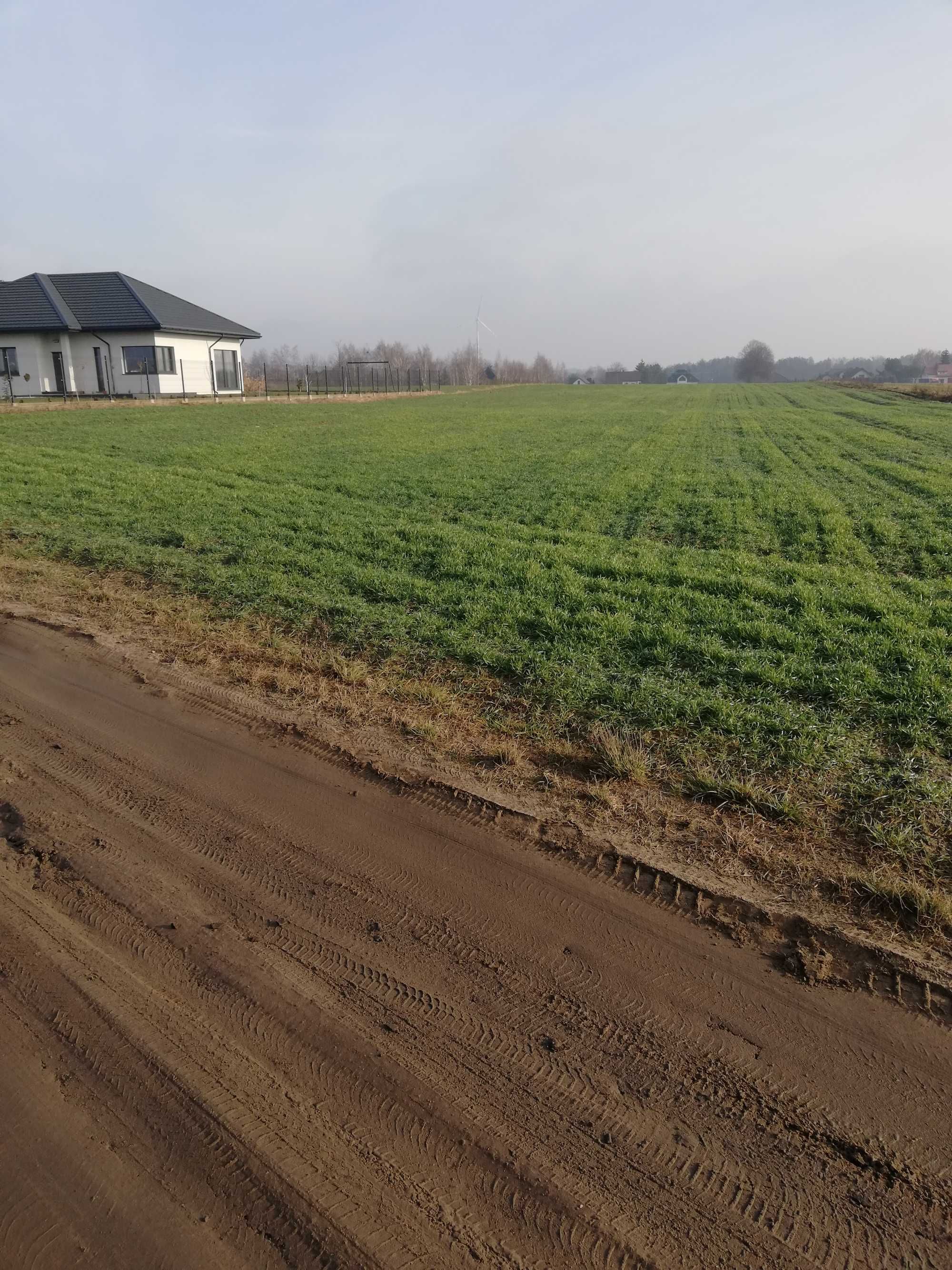 Sprzedam działki budowlane w Borkowie Kościelnym