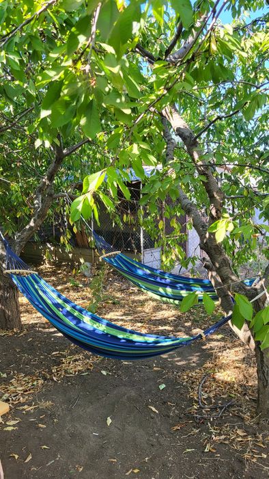 Продаю будинок в Миколаївському районі.