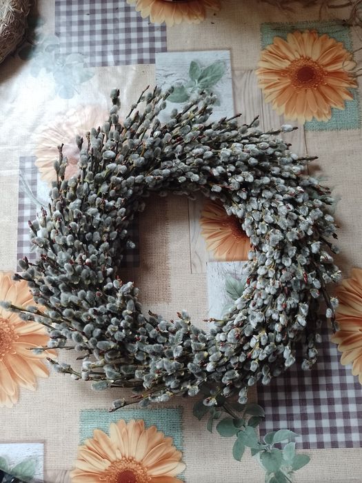 Віночки з вербових котиків Верба баська шутка лоза