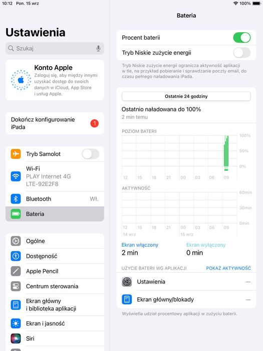 iPad Mini 5 w kolorze Space Gray - pamięć 256 GB, moduł Wi-Fi
