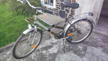 Rower damka polecam