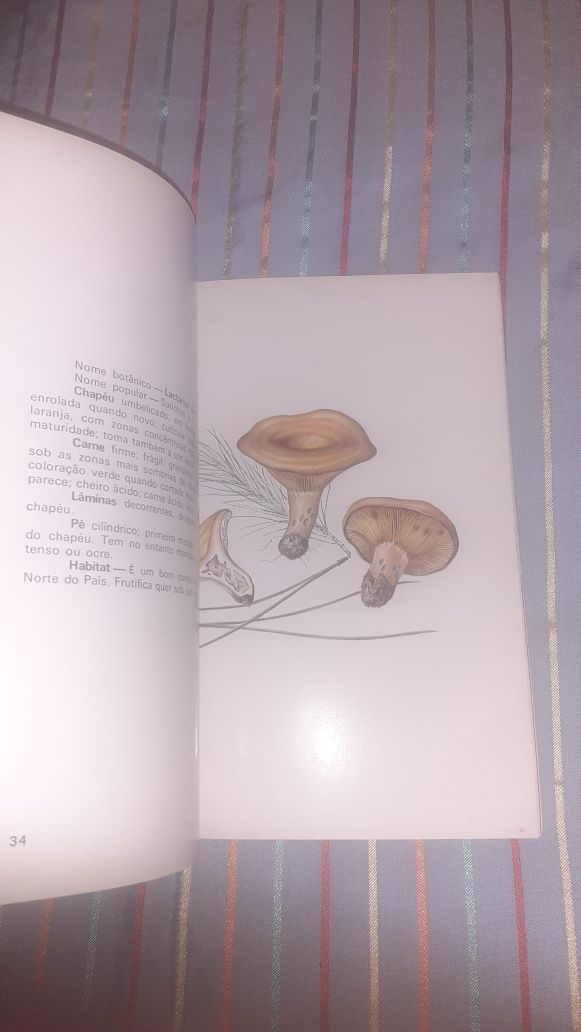 Cogumelos livro colecção parques naturais pleurotus