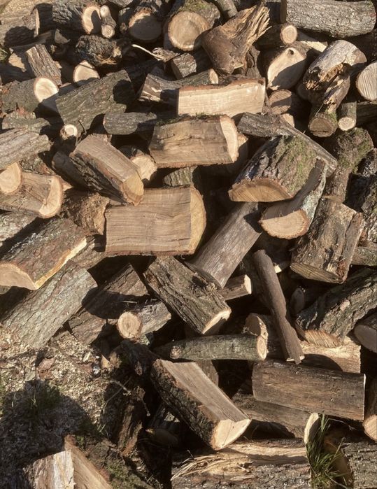 Drewno Kominkowe Dąb Brzoza