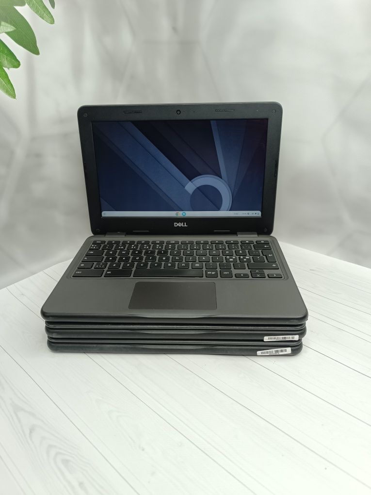 Ноутбук Dell Chromebook 3100/Celeron N4020/4/32/11.6"/HD/ОПТ/РОЗДРІБ