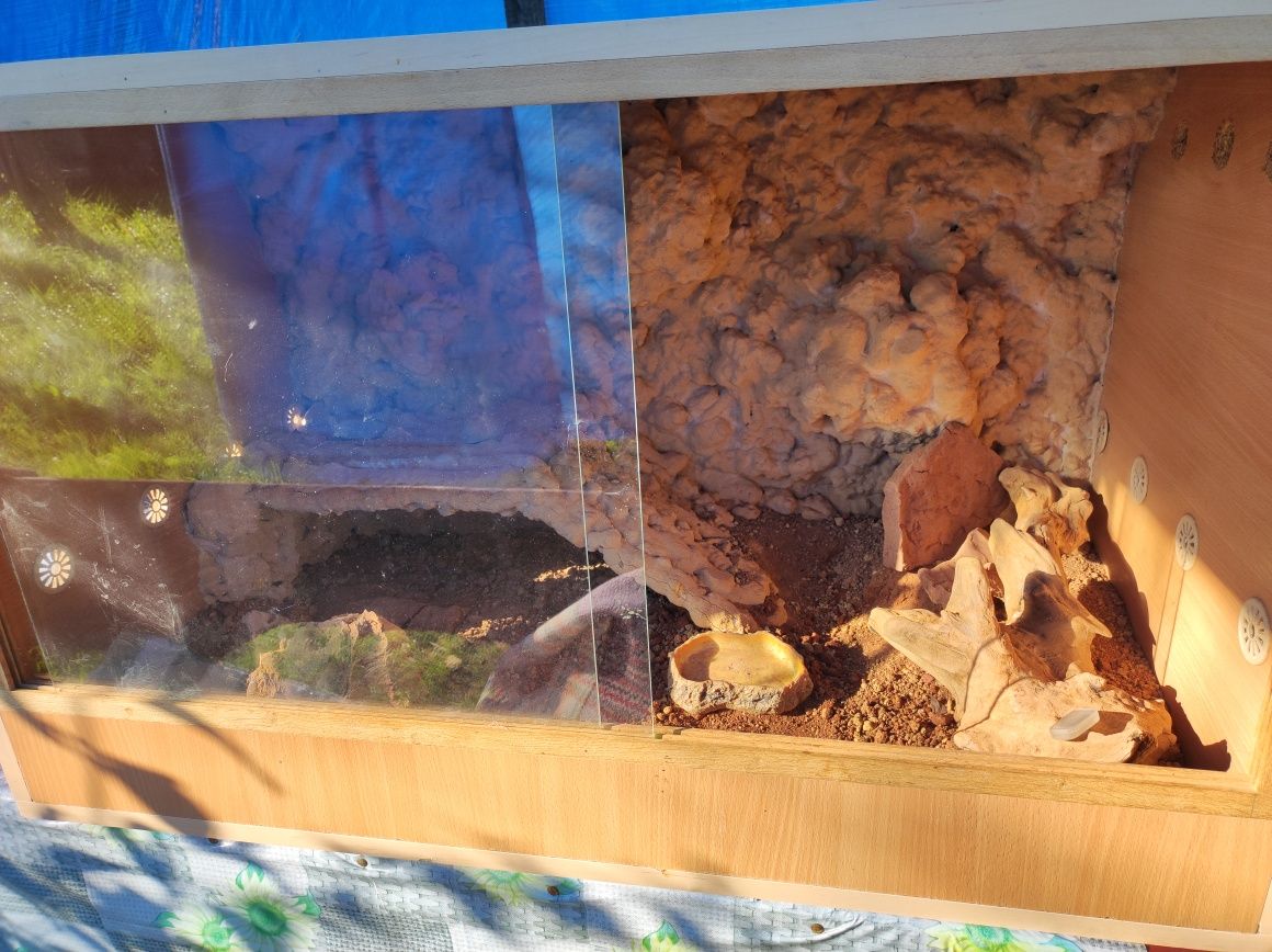 Terrarium dla jaszczurki