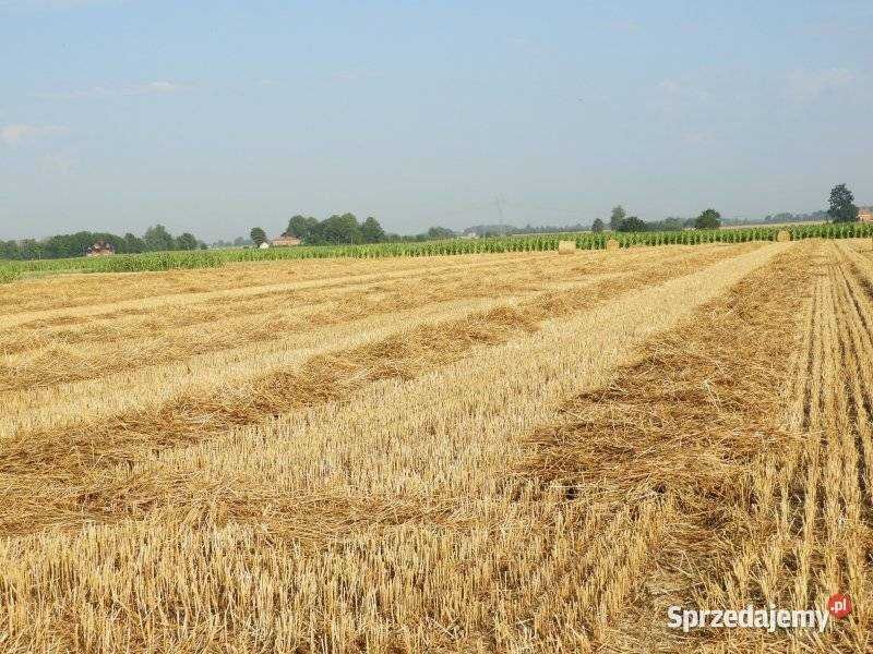 Słoma  kostki snopki 2025