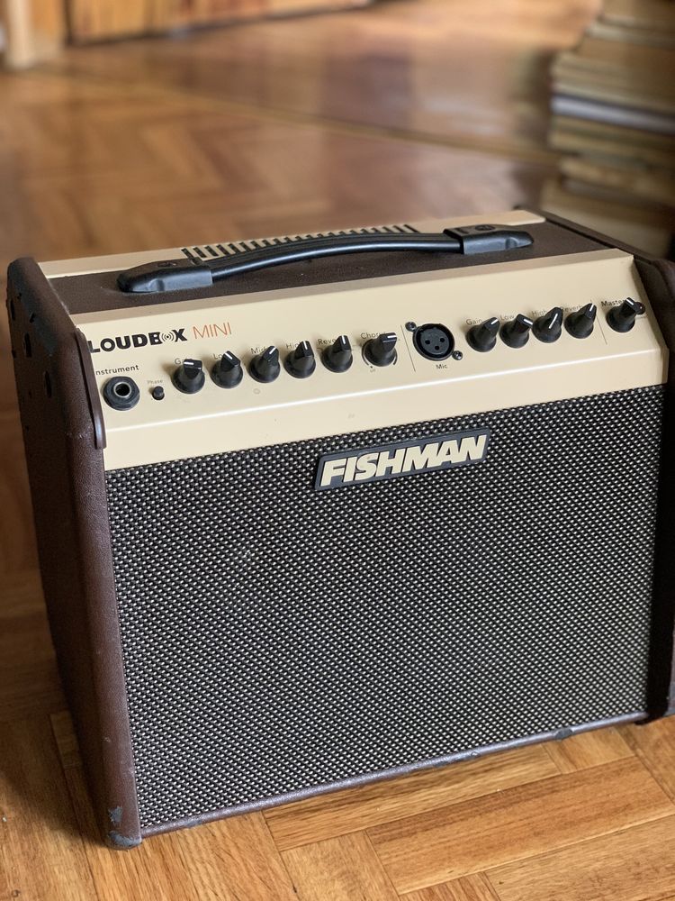 Комбоусилитель Fishman Loudbox Mini pro -lbx-ex5