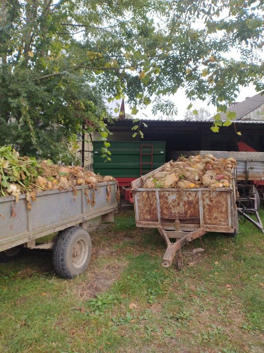 Burski pastewne 1 tona