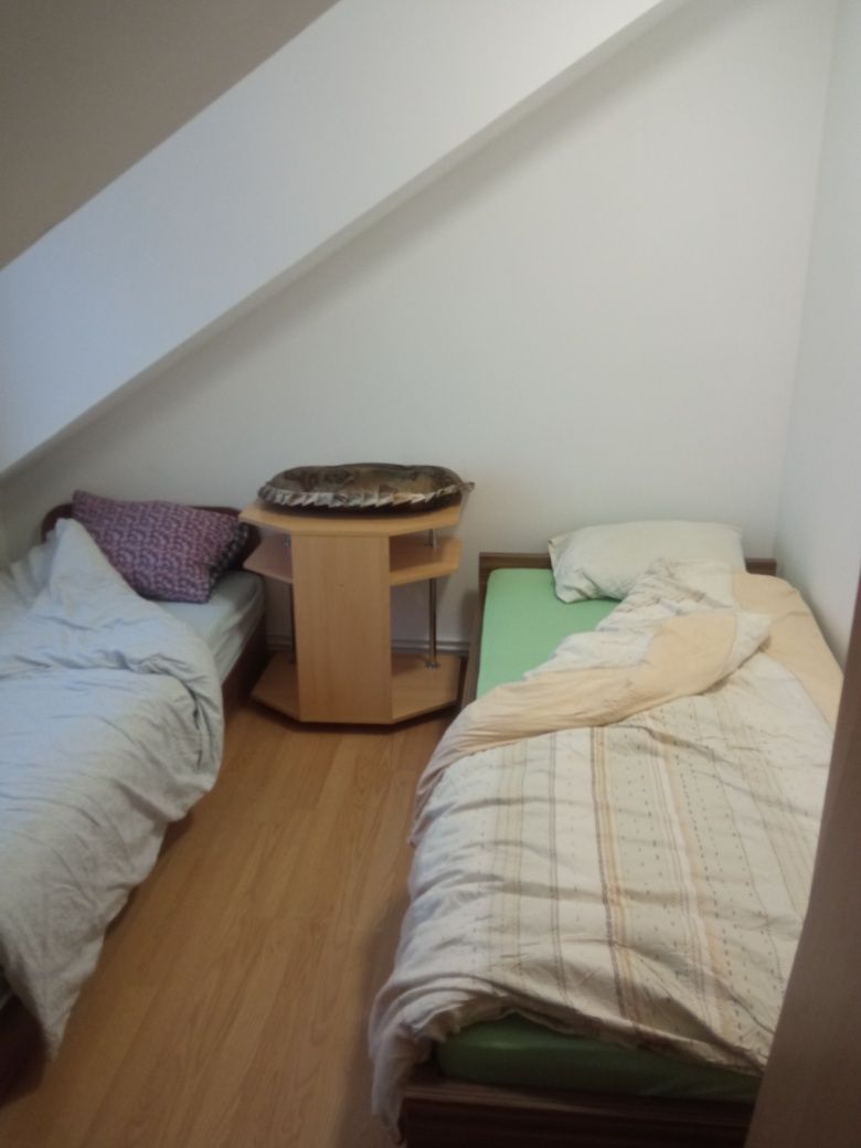 Wolne NOCLEGI ,Pokoje pracownicze , 1,2,3 osobowe  w Morągu  -wynajmę