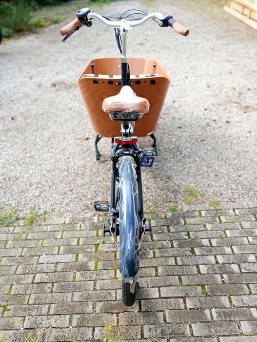 Elektryczny rower cargo Babboe City Mountain