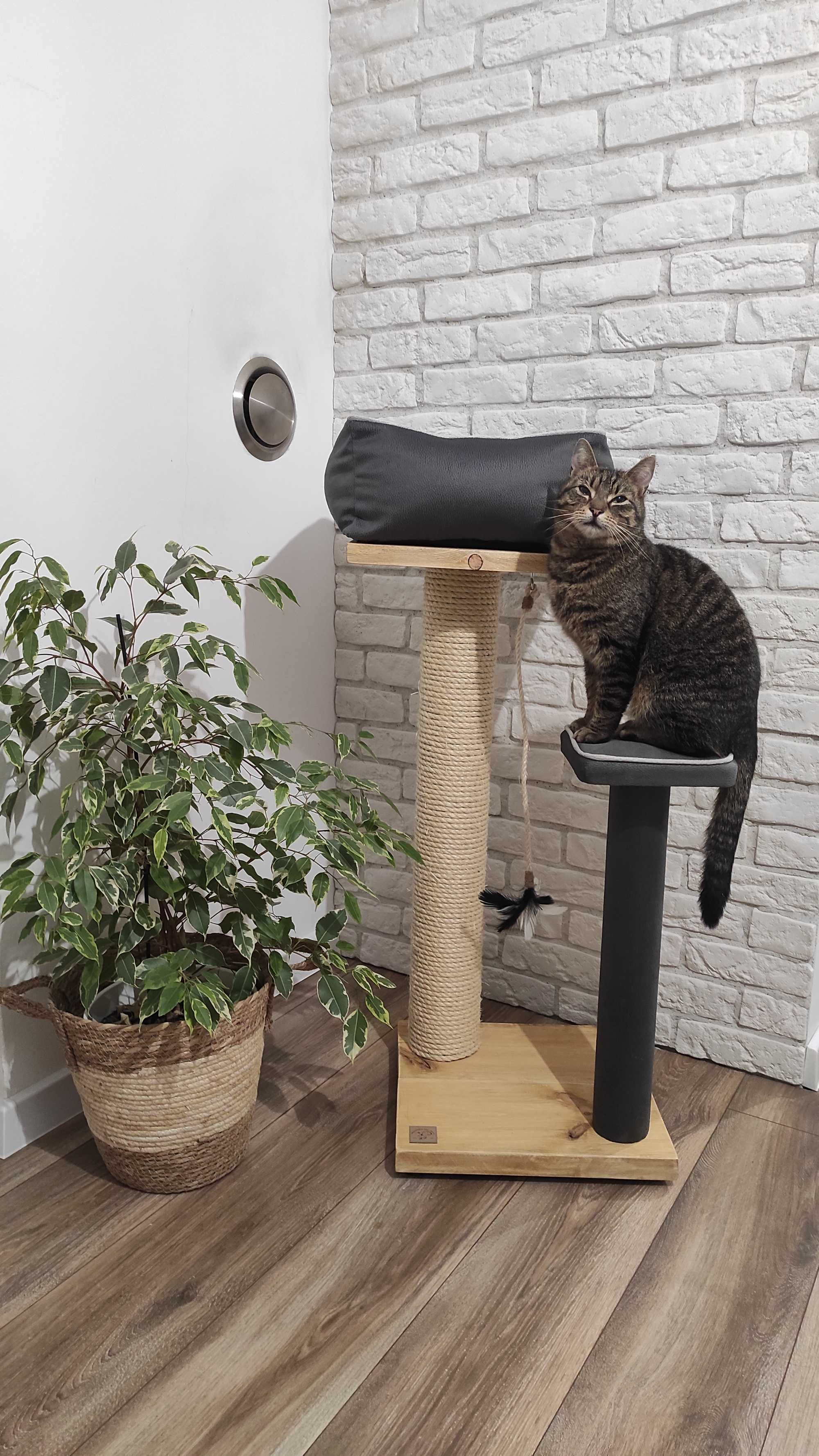 Drapak dla kota z drewna 105cm GRATIS parapeciak i