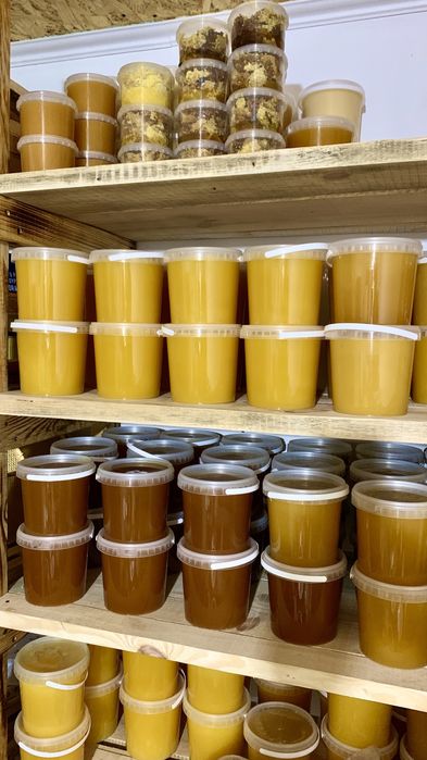 Продам Мед, соти, з власної лісової пасіки, Мёд, соты, медовий напій