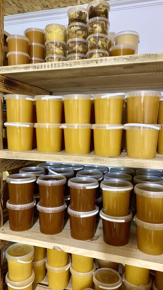 Продам Мед, соти, з власної лісової пасіки, Мёд, соты, медовий напій