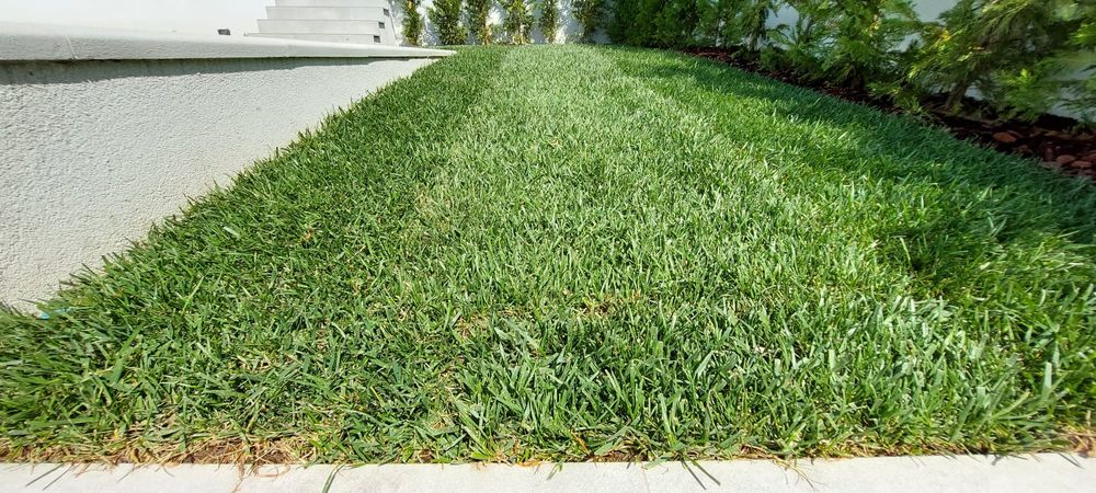 Construção e manutenção de espaços verdes