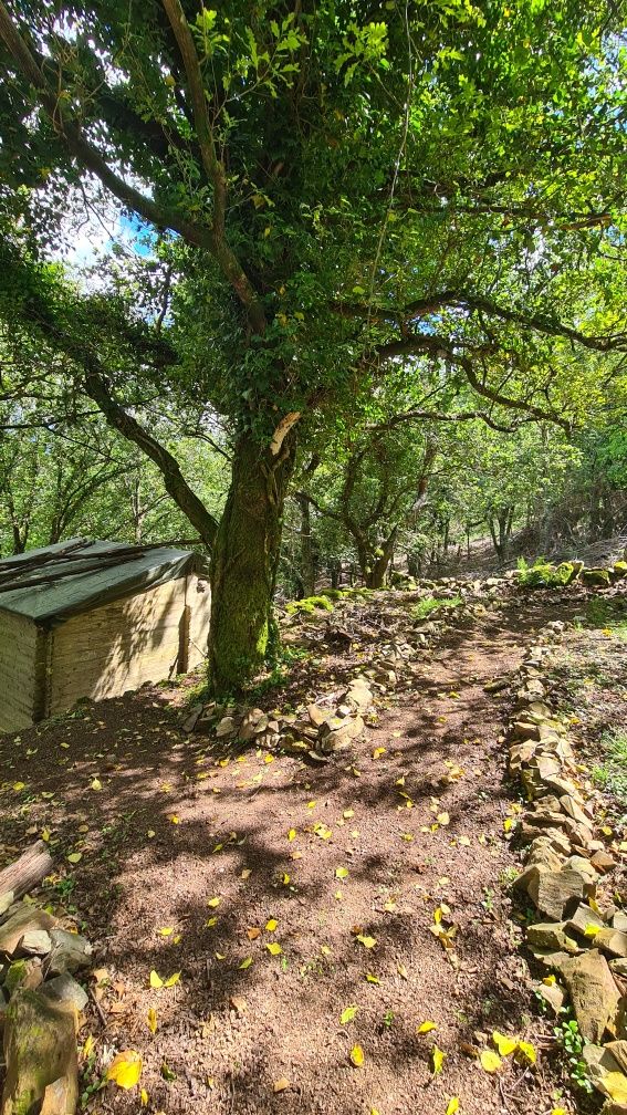 Terreno com várias ruínas na Serra de Lousã