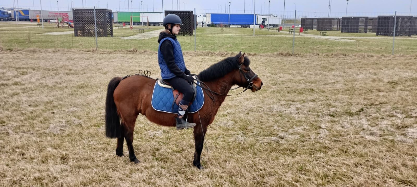 Dobra klacz dla dzieci oraz hodowli