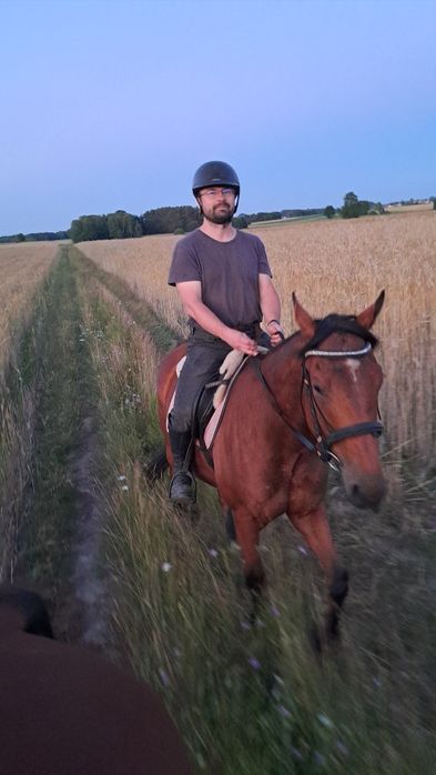 Sprzedam 5 letniego wałacha