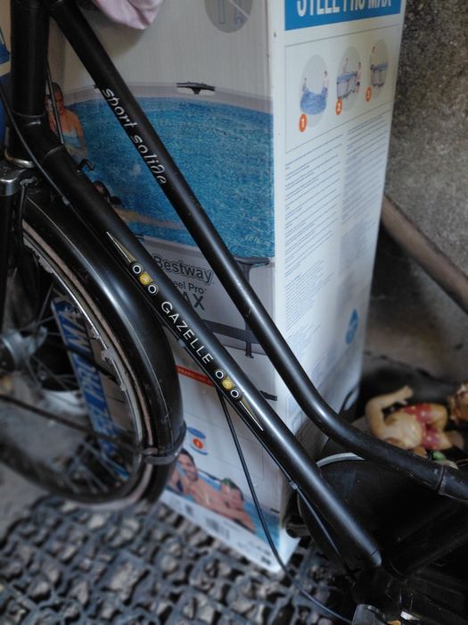 Rower gazella sport solide