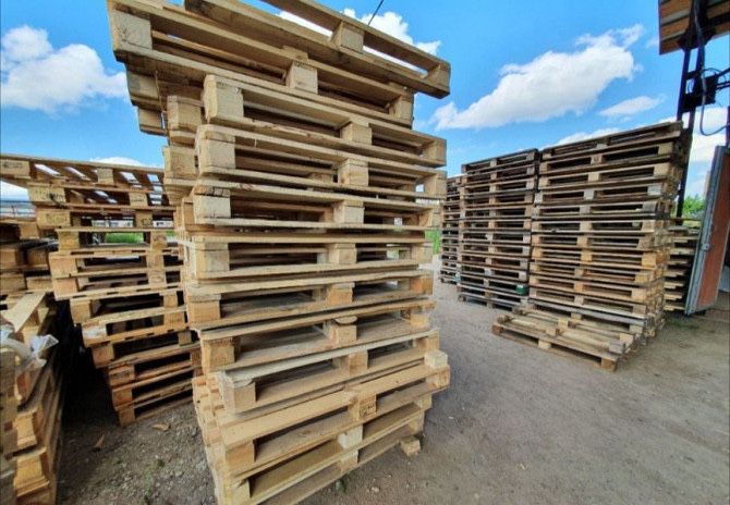 Європіддони в хорошому станні