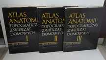 Atlas Anatomii topograficznej 1-3 Popesko