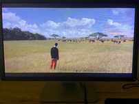 Monitor Dell P2214H