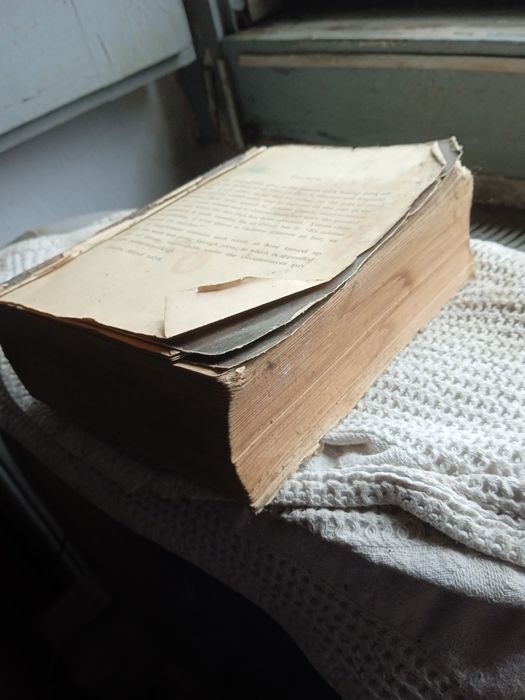 Dicionário técnico 1878 em inglês varios