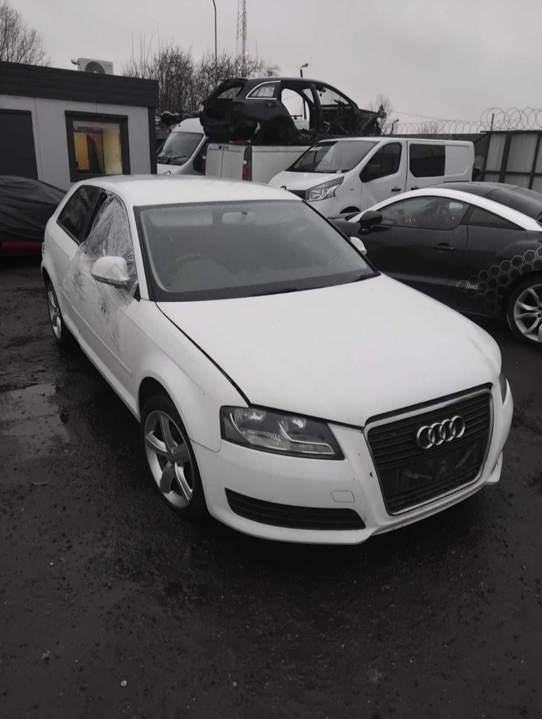 Audi a3 8p lift 3 drzwi 1.6 mpi BSE skrzynia LVN kolor LY9C