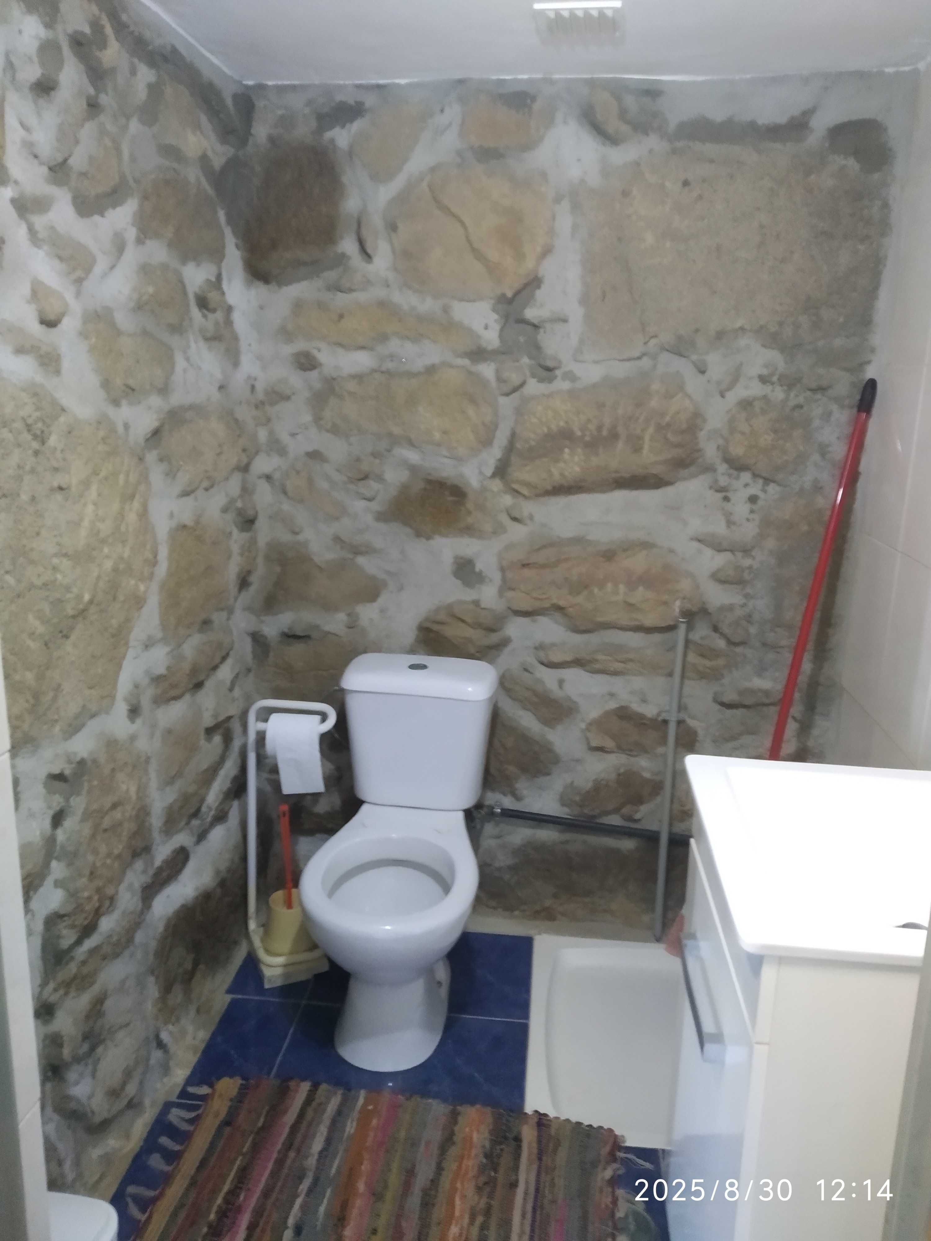 Quinta com mirtilos e oliveiras