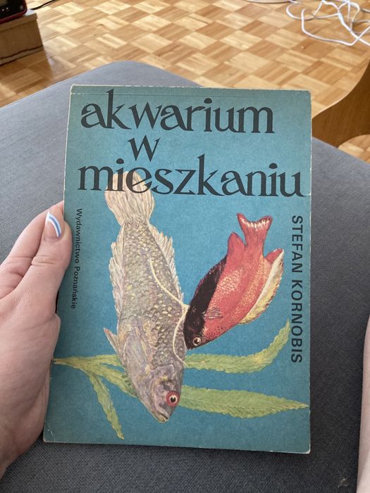 Akwarium w mieszkaniu - Stefan Kornobis