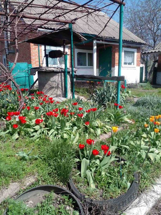 Продається будинок в смт.Опішня +380665762822,+380660407380