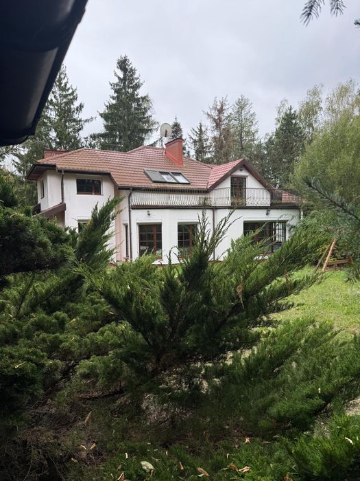 Gabinet , pomieszczenie dla logopedy . W willi z ogrodem.