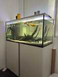 Aquario 330L completo + movel