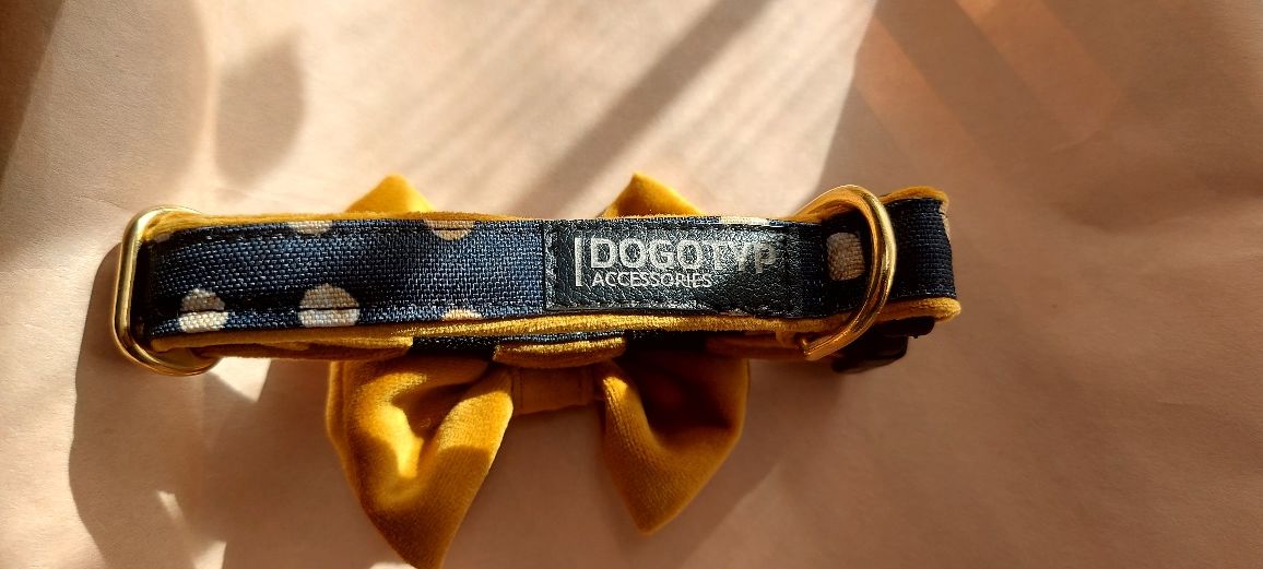 Nowa karmelowa  obroża w groszki  z kokardką DogoTyp  S 26-40 cm