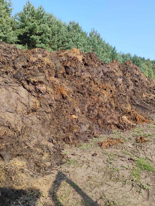 Obornik bydlęcy sprzedam zamienię na baloty słomy, siana sianokiszonki