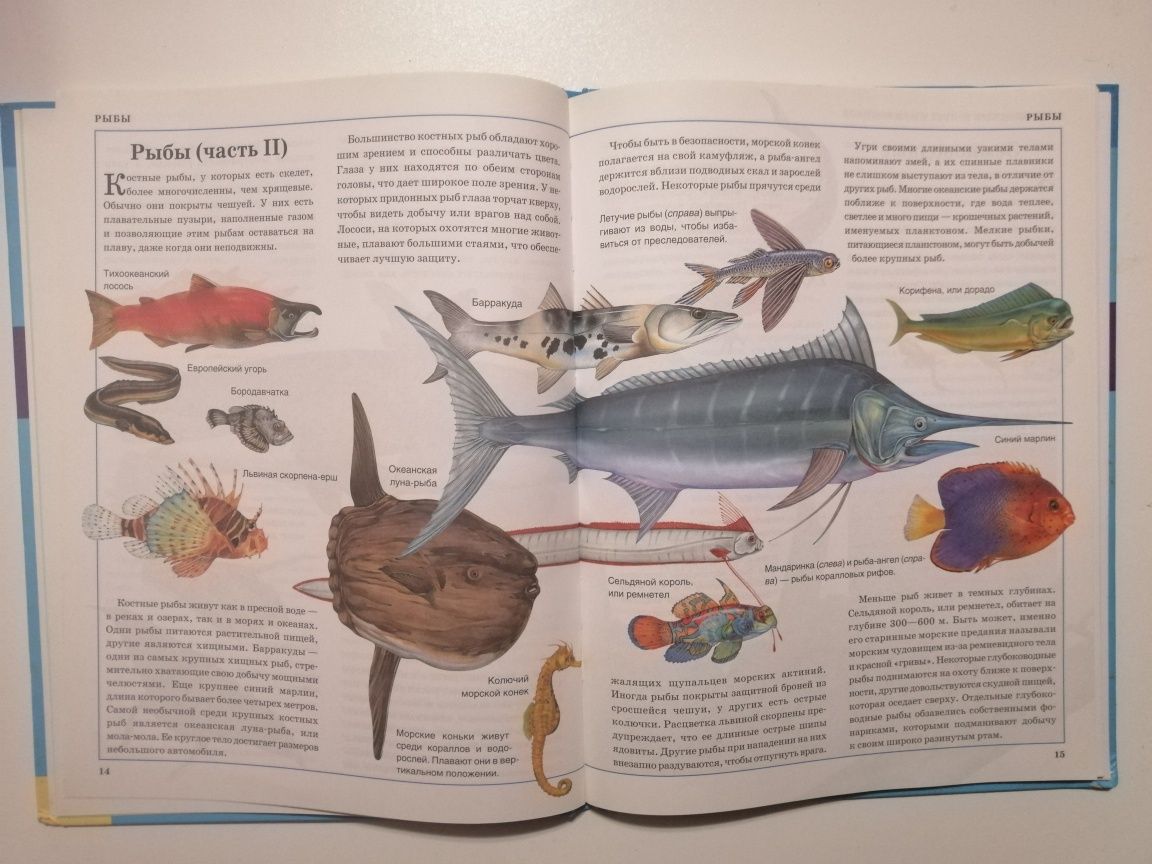 Иллюстрированная энциклопедия для детей Животные