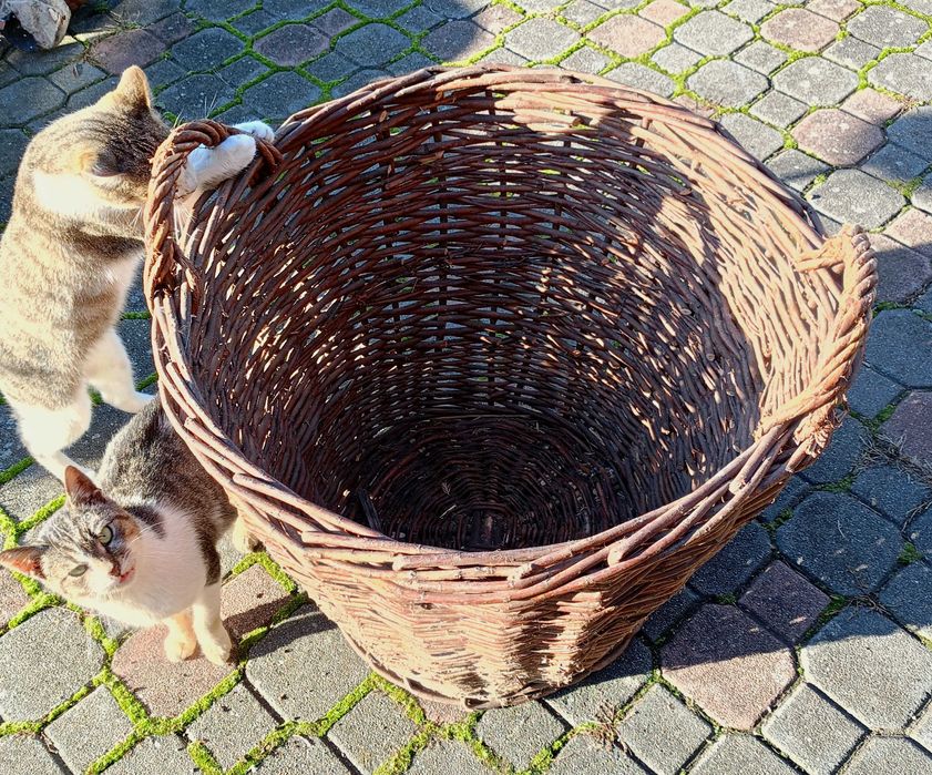 duży kosz wiklinowy używany