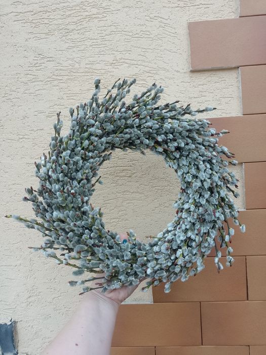 Віночки з вербових котиків Верба баська шутка лоза