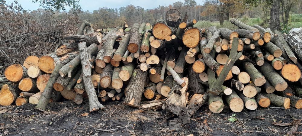 Sprzedam drewno opałowe