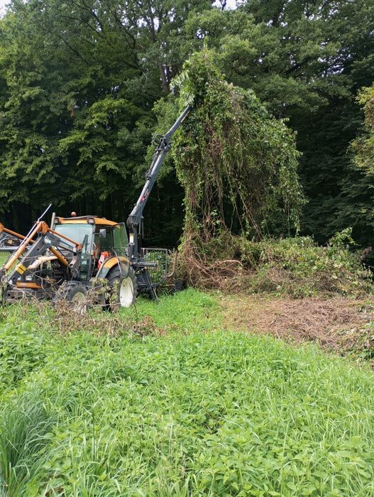 Wycinka drzew,karczowanie działek,rębak,zwyżka,drewno opałowe rozbiórk
