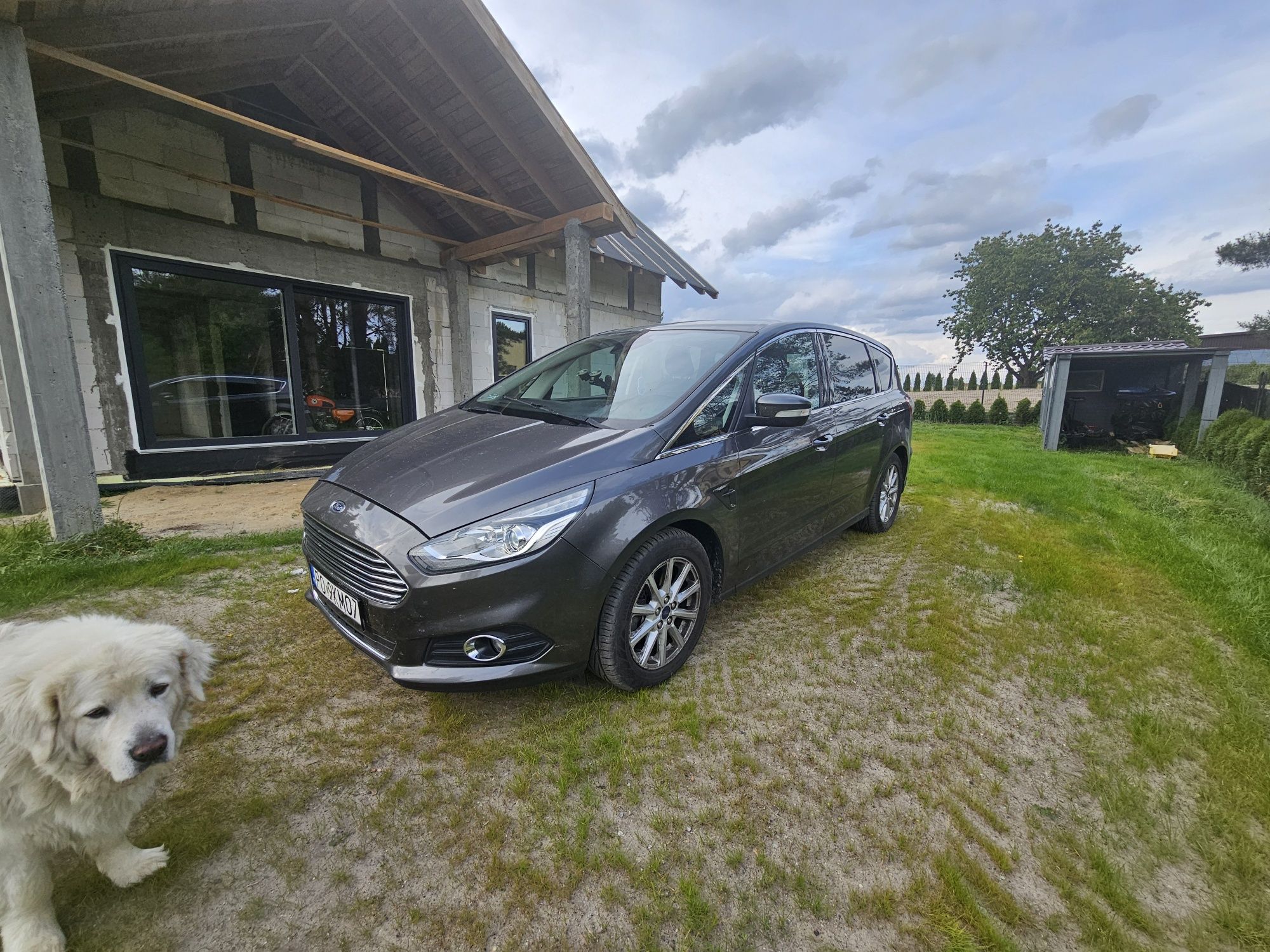Ford s max max max