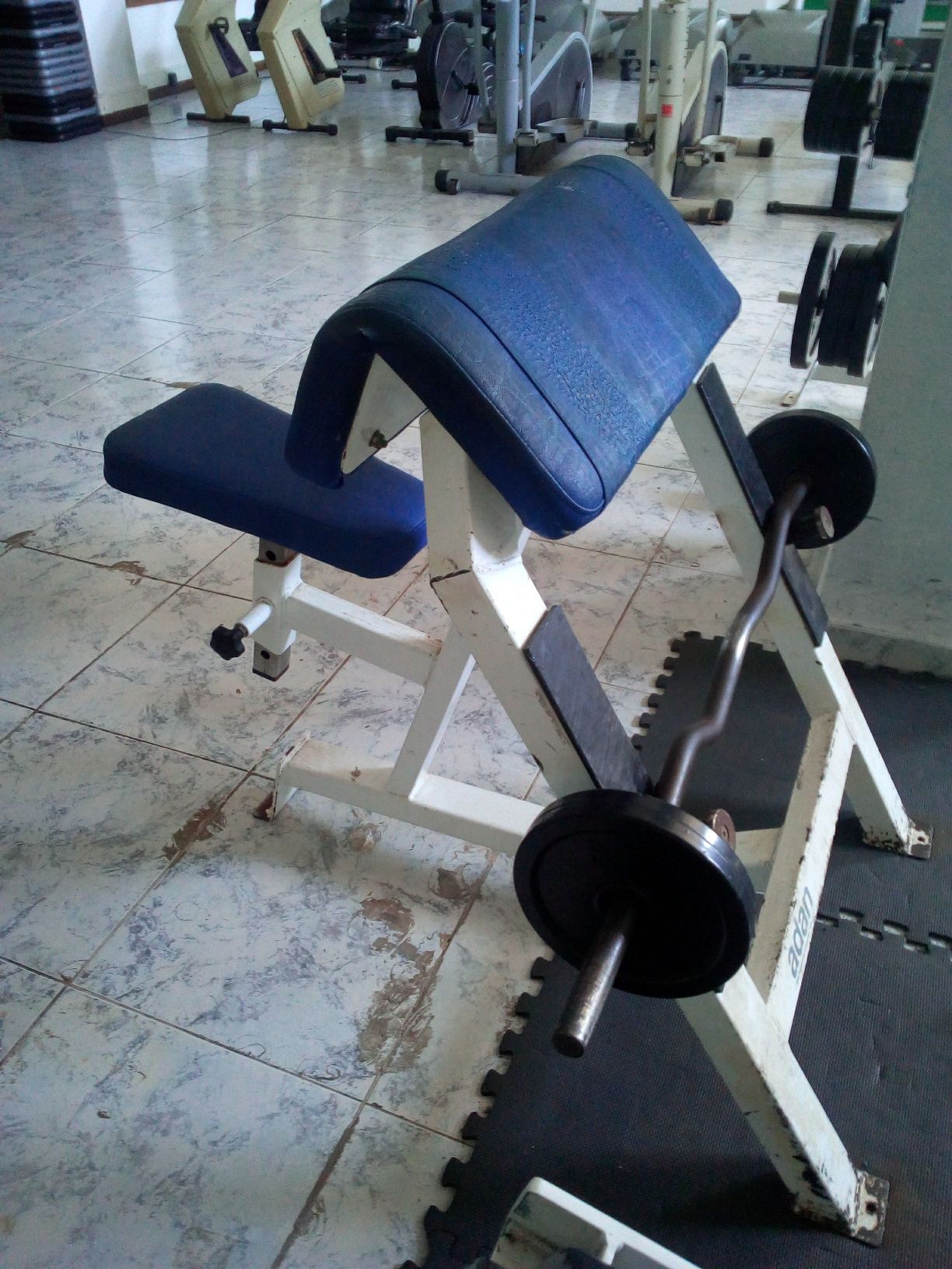 Musculação banco bicep