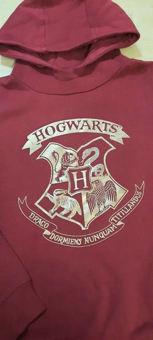 Bluza Harry Potter