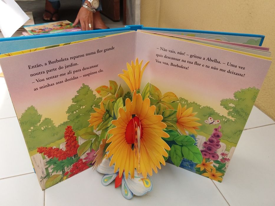 Livro borboleta