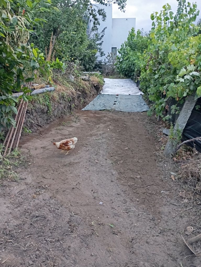 Moradia em terreno( venda ou troco por autocaravana+ acertos