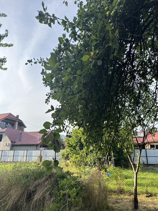 Будинок напівособняк м.ХУСТ